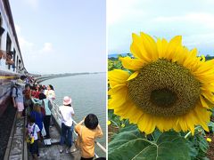 ロッブリー　休日臨時列車のダム湖上停止&ひまわり畑見学