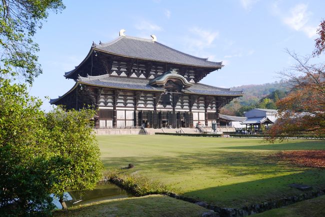 結婚する前は母とあちこち行っていたのですが、結婚してからは一緒に旅行することはなく、せいぜい妹のところに一緒に行くくらい。<br />今回も最終目的は妹のところなんですが、<br />私「ついでに奈良まで足を延ばして正倉院展に行きたいんだよねー」<br />母「行きたい!」<br />ってことで、久しぶりに母と観光目的の旅をしてきました。<br /><br />2日目、東大寺や興福寺に行きました。