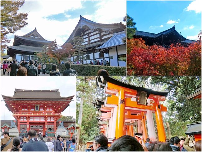 [１１月２３日]<br />　東福寺～伏見稲荷大社～京都～復路～<br /><br />京都の旅最終日、天気も良く行楽日和ですぅ～<br />比較的近い洛南の紅葉の名所に行って来ましたぁ・・・(^^♪<br />