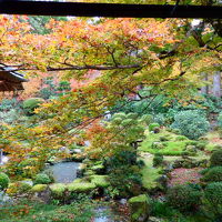 再び紅葉の京都へ