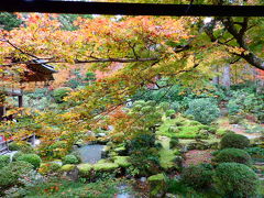 再び紅葉の京都へ