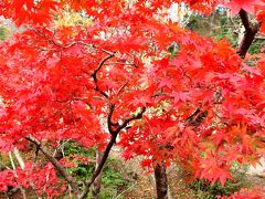 2018 「 越後の秋 (紅葉)」 の旅 ＜ 新潟県長岡市・柏崎市・西蒲原郡 ＞