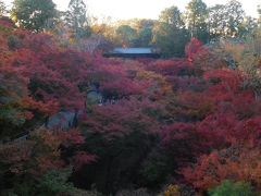 京都２０１８紅葉　【７】東福寺