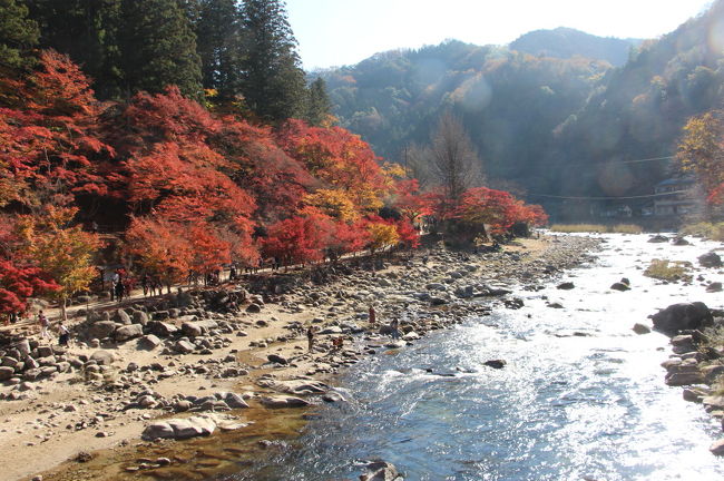 バスツアーで、東海地方のもみじと、なばなの里のイルミネーションを見てきました。<br />ツアー初日は、午前１０時に新宿都庁前をスタートし、静岡県の小國神社の紅葉と、三重県桑名市のなばなの里のイルミネーションを見学し、岐阜羽島駅前のホテルで宿泊です。<br />２日目は、岐阜県の大矢田もみじ谷を見学の後、午前中に愛知県の小原四季桜を見学し、午後は香嵐渓のもみじを見学しました。<br />香嵐渓見学の後は、一路新宿をめざし、８時前に新宿帰着となりました。<br />