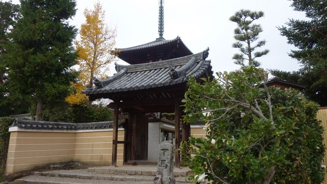 　斑鳩の三寺、法隆寺、法輪寺そして法起寺の塔が一望出来るというコピーに引かれて訪れたのが中宮寺跡。最近整備されて伽藍配置礎石や塔跡そして区域が整備された。その整備地区で前記の塔が一望出来ると云うがどう見ても見られない。しかし、良く説明板を見るとある場所を特定しているらしい。それが指し示す場所は確かに小さな屋根が設置されている。早とちりの愚僧は、一番高所の展望台だと信じて疑っていなかった、そこが「愚」僧の愚たる所か。