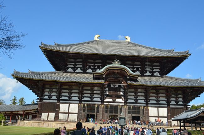 大仏殿と二月堂だけでも、広い境内です。二月堂は、大仏殿の裏手を坂を登ります。近畿地方では「春を招くお水取り」として有名ですが、お堂からは奈良盆地が一望の下に見渡すことができます。大仏殿は、言わずと知れた世界最大の木造建築で、毘盧遮那仏が鎮座まします。