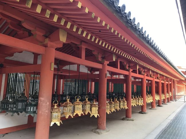 秋の奈良公園、春日大社、東大寺へ行きました。