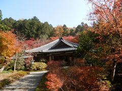 湖北で紅葉狩り～　近江孤蓬庵＆石道寺