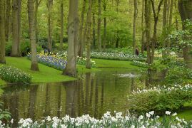 春爛漫のオランダ＆ベルギー【2】圧巻の美しさ！キューケンホフ公園を堪能し、アムステルダム街歩き