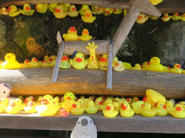 ふるさと納税でもらった渋川市の感謝券を使っていつもよりちょっと贅沢な温泉旅。<br />今年は伊香保温泉に行ってみました。<br />初日は上野村まで足を伸ばし、秩父→ダナン→飛騨に続きまたしても洞窟探検<br />翌日は伊香保の石段街をぶらぶら散策し、榛名湖・榛名神社を訪ねました。<br /><br />今回も我が家のマスコット桜文鳥雛ぬいぐるみゴエモン（＋一羽）がお供です。<br /><br />後編は伊香保温泉散策→水沢うどん→榛名湖→榛名神社まで。