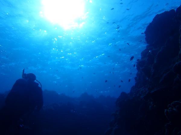 冬でも暖かい沖縄へ（８）慶良間諸島チービシ神山島ダイビングはラビリンス（迷宮）