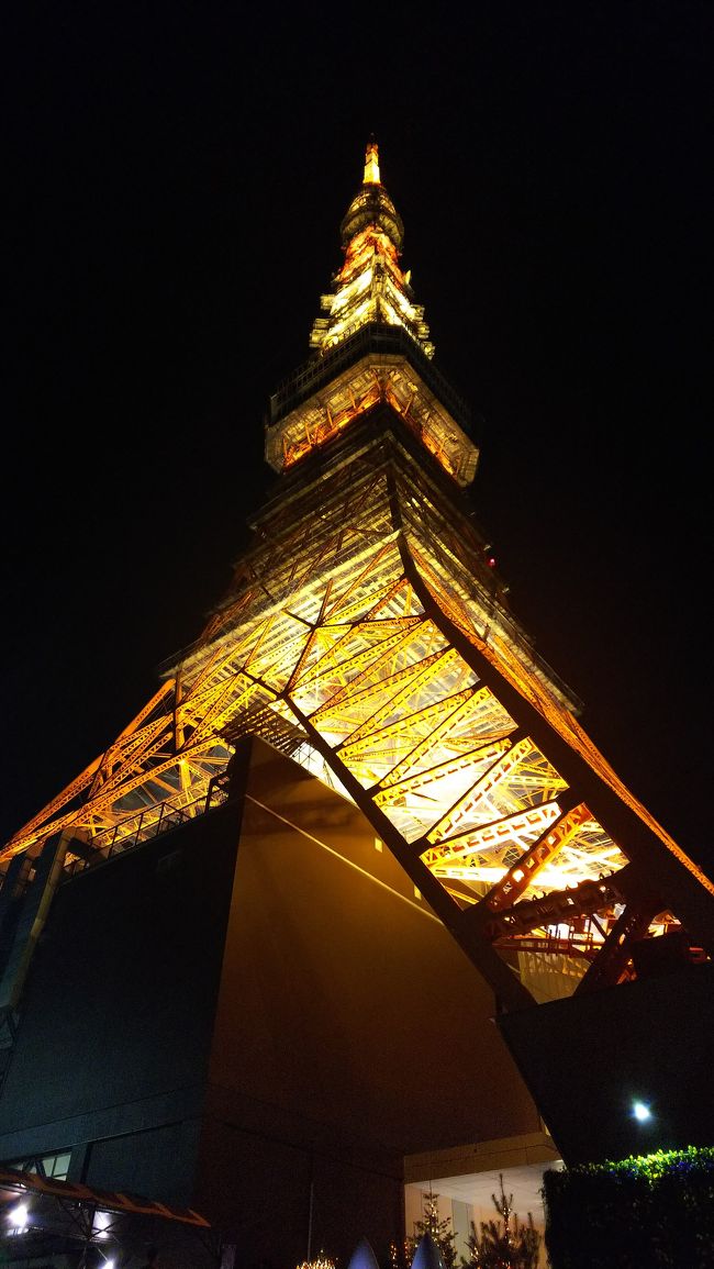 一年ぶり東京観光 イルミネーション ホテルステイ備忘録 目白 東京 の旅行記 ブログ By サロブラさん フォートラベル