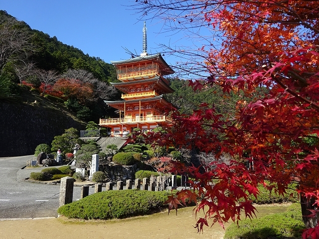 東アフリカ以来の久しぶりの旅です。<br />国内ですが、旅そのものが億劫になってきています。<br />最初は電車とバスで予定していたのですが、結局車になってしまいました。<br />急きょ予定したのは、寒くなると路面凍結の恐れがあるからです。<br />そもそもこの地域は以前にも旅しているのですが、写真が一枚もありません。<br />テーマ「日本の世界遺産https://4travel.jp/travelogue/11413068」を編集するのにやはり写真がないと様になりません。<br />世界遺産「紀伊山地の霊場と参詣道」を二日に渡って旅します。<br />１．紀伊山地（熊野三山と参詣道）　2018.11.29<br />２．紀伊山地（高野山と吉野）　2018.11.30<br /><br />参考：世界遺産アカデミー