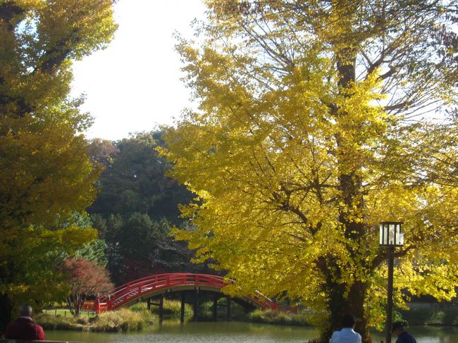 金沢文庫から金沢八景まで歩く 称名寺のいちょうがきれいな黄金色に色づいていました 八景島 神奈川県 の旅行記 ブログ By かつのすけさん フォートラベル 金沢文庫から金沢八景まで歩く 称名寺のいちょうがきれいな黄金色に色づいていました 八景島 神奈川県 の旅行記 ブログ By かつのすけさん フォートラベル