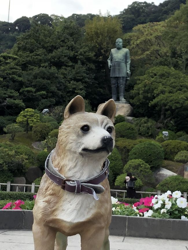 歴史好きな友人と、いつかマニアックな旅行をしよう!と始めた積立金<br />「11月に、どこか行きたい!」との要望あり~<br />維新・秘湯・グルメとくれば、もう鹿児島でしょう!<br />行きたいところが多すぎて<br />1泊2日が2泊3日になってしまった…<br />よくばりで歴史オタクな雨女と晴女の珍道中!<br />最終日~<br />