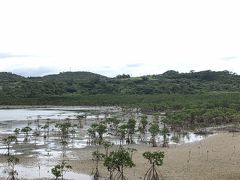 八重山諸島・小浜島日帰り弾丸旅行～ちゅらさんの島～