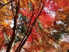 大津へ ～誕生日祝いを兼ね 紅葉と温泉、美味しいもの満喫～