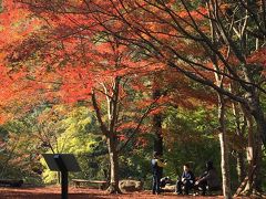 紅葉狩り～武田尾～2018