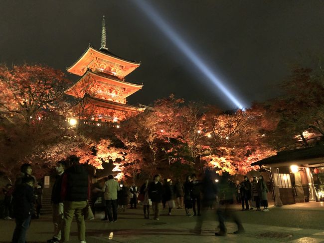 からくれなゐに水くくるとは 紅葉を見に関西へ 斑鳩 法隆寺周辺 奈良県 の旅行記 ブログ By Matt Yさん フォートラベル からくれなゐに水くくるとは 紅葉を見に関西へ 斑鳩 法隆寺周辺 奈良県 の旅行記 ブログ By Matt Yさん フォートラベル