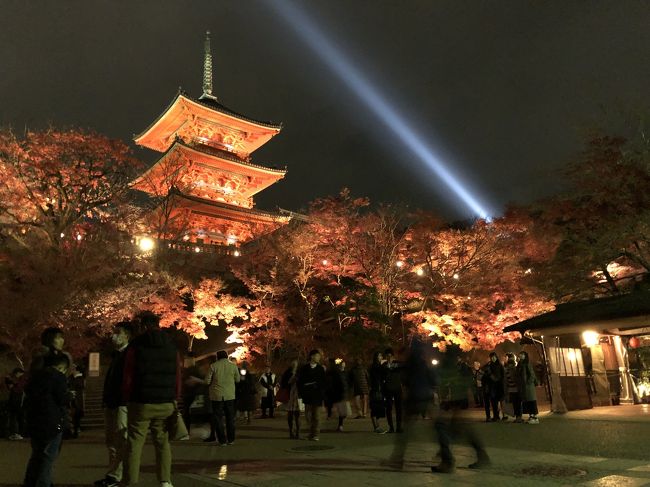 紅葉を愛でたくなり関西へ。<br />今まで紅葉の時期に京都って殺人的に混んでいるは、宿は取れないは、、、であると思い意識的に避けていました。しかしふとみると最近の京都は宿も取れるじゃん、ということで宿は京都に取り、飛行機手配。<br /><br />具体的にどこに行くかはノープランなまま出発しましたが、伊丹に向かう過程で、ふとそういえば百人一首に入っている在原業平の歌「ちはやぶる嵐も聞かぬ竜田川からくれなゐに水くくるとは」の歌が頭をよぎり、竜田川の紅葉ってそんなにすごいのか、と竜田川に行ってみることに。<br />（頭のどこかにやはり紅葉の京都は人混みが凄そうというのがあったこともあり...）