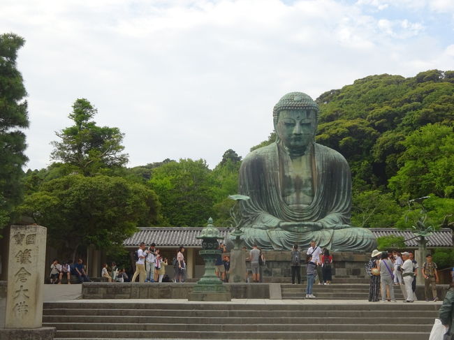 1日目に鎌倉へ行きました!八幡宮に行く参道が賑やかで楽しい!鳩サブレーの本店もあり、さっそく本店限定の鳩サブレーをお土産に買ってしまいました!<br />そしてお参りをして、場所を移動します!鎌倉の大仏様に会いに行きました。男前と噂でしたが、本当に男前な大仏様でした!<br />2日目は江ノ島水族館に行き、その周りを散歩して満喫!観光地として有名で人気なスポットは、やっぱり楽しませてくれますね。