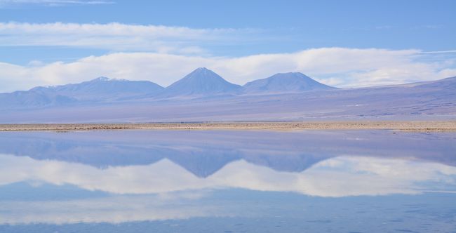 アンデス山脈を越えて、世界最高峰4000m超、天空の砂漠：『アタカマ砂漠』で美しい光景と、薄い空気に、くらくらでへろへろになる旅....#14....アタカマ塩湖、やっと出会えたフラミンゴ～（サンペドロ・デ・アタカマ San Pedro de Atacama／チリ）