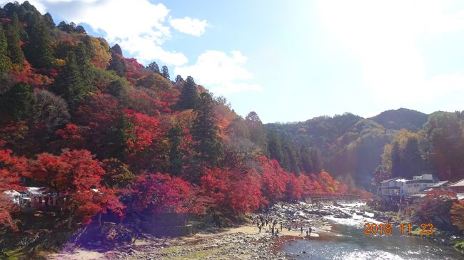 見頃をちょうど迎えた東海屈指の香嵐渓へ11月22～24日の2泊3日旅行に出かけました。<br />今回は、いつも利用している旅行会社の”最上級ブランド”の旅行にしました。<br />2泊とも有名旅館、食事は懐石料理メインでした。<br />さてどんな旅行になりましたでしょうか？ご紹介したいと思います。