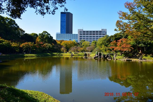 都内って高層ビルや建物が密集したイメージがありますが、意外と緑も多く、庭園も江戸幕府があったことから結構あちこちに残っています。<br /><br />小石川後楽園は東京ドームの隣にあり、江戸時代初期1629年（寛永6年）に水戸徳川家の頼房が、江戸の屋敷の庭として着手し、二代藩主の光圀の代に完成した庭園。<br />庭園は池を中心にした回遊式築山泉水庭園で、各地の景勝を模した湖・山・川・田園などの景観を表現しています。<br />また、特別史跡及び特別名勝の二重指定を受けたのは、関東では浜離宮と小石川後楽園の二つだけという庭園です。<br /><br />小石川後楽園<br />https://www.tokyo-park.or.jp/park/format/index030.html<br /><br />旅行記：東京ドーム野球殿堂博物館と隣にある紅葉にはまだ早い小石川後楽園を周ってみた<br />《野球殿堂館博物館》https://4travel.jp/travelogue/11423658<br />