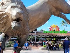 2018 サンディエゴ動物園に行ってみよう。San Diego Zoo in California