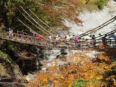 レンタカーで行くかずら橋