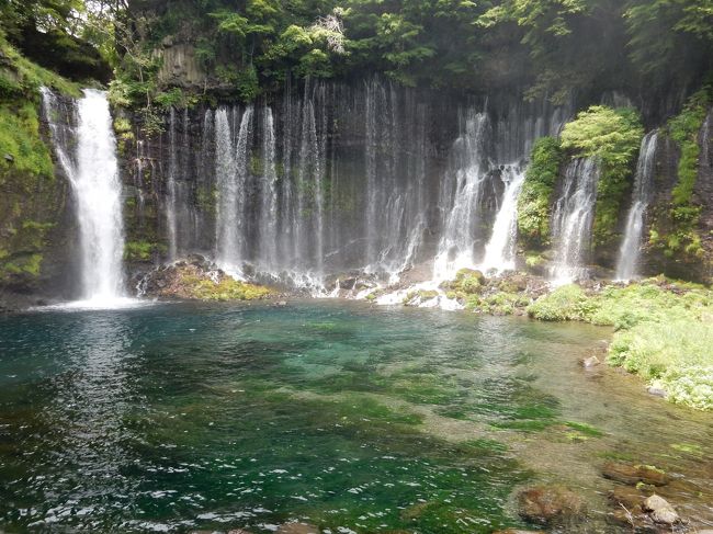 2016年の静岡県旅行記。<br />前日名古屋で私用があったため、<br />翌日足をのばして白糸の滝へ。<br />