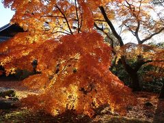 永源寺～瓦屋寺～信楽