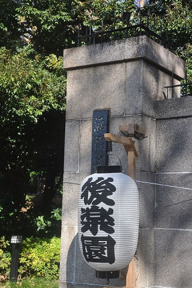 いつもの都心を歩く会のメンバー達と後楽園に紅葉を撮影に行って来ました。<br /><br />後楽園は江戸時代初期1629年に水戸徳川家の祖である頼房がその中屋敷に造ったもので<br /><br />二代藩主光圀の代に完成した庭園です。