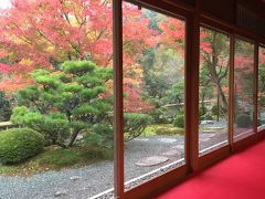 11月3連休の京都紅葉旅行。前半大原編。