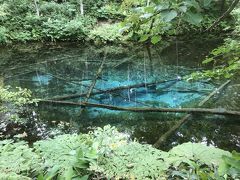 道東8日間　4日目　川湯温泉、摩周湖、神の子池、能取岬、網走