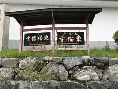 京都を散策 ～東福寺の青もみじ～