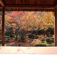 紅葉の京都　紅葉名所のお寺巡り