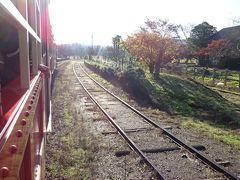 トロッコ列車とボンネットバス・紅葉ハイキングin養老渓谷