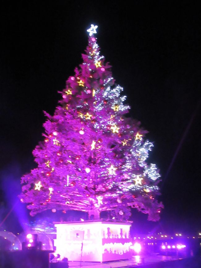名鉄観光の1泊ツアーで函館ラビスタに泊まり、ベイエリアクリスマスイベントに行ってきました。<br /><br />雪も無く、寒いどころか天気よく、風もなく、あったかかった!<br /><br />1日目は空港からまっすぐホテルへ。のんびり温泉で疲れを癒し、休憩してから、クリスマスイベントへ。ラッキーピエロの<br /><br />チャイチキセットと路面電車1日券付きコース。<br /><br />花火と点灯式の後は、チャイチキセットで満腹、揚げたてポテトが美味しかった。<br /><br />2日目は、美味しい朝食で満腹、路面電車でのんびり散策。<br /><br />行きも帰りも飛行機から富士山、岩木山、函館山が奇麗に見えました。