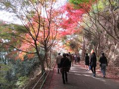 紅葉の見頃を迎えた鳳来寺山を訪ねて