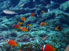 北風ぴゅーぴゅーの沖縄(前編)