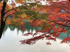 紅葉の南伊奈ケ湖