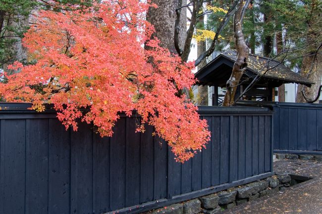 体調不良の中の旅行だったので<br />かなりテンションの低い旅行になりました～。<br /><br />角館ではギリギリ紅葉を楽しめ<br />そしてずっと憧れていた玉川温泉も行けたのですが<br />二日目はほとんど観光はしなかったので<br />実質一日目だけの旅行記になってしまった…。<br />