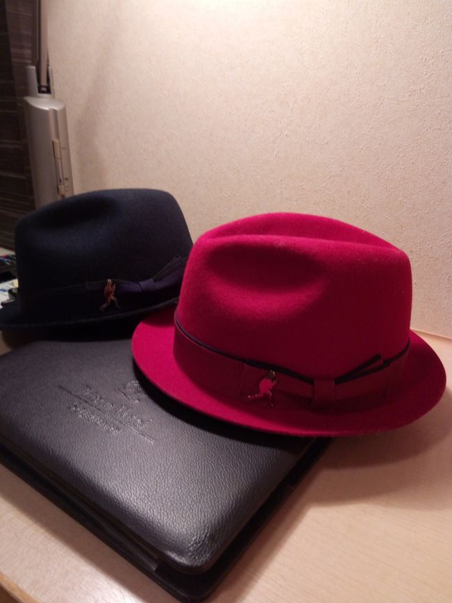 マイカーにて道内遠征して<br />松任谷由実タイムマシーンコンサートを<br />見てきました。<br />お宿は札幌プリンスホテルタワー。<br />複雑な市街地を走らず比較的楽に駐車場に入れる、親切な立地。<br />たとえ1泊でも旦那さまと旅行気分。<br />朝食はホテルブッフェと送迎バスに揺られて市場場外の食堂が選べ、後者で食べてきました。<br />朗らかなドライバーと楽しくおしゃべり。<br />朝食後チェックアウトまで部屋で景色を見てまったり。<br />昼食には、歩いて美味しい鶏の唐揚げで話題の食堂へ。評判通りで家族へお土産も購入。<br /><br />行き帰りのトイレ休憩は、占冠と輪厚。<br />札幌方面の占冠売店(夏季限定営業)で食べた「馬鹿バーカー野ワサビ大盛り」鹿肉パテバーガーは美味しかったな。<br />輪厚のプレミアムチーズソフトクリーム🍦は甘さひかえ目でも美味しい。<br />冬道の道路はいつもより安全運転に気をつけないとね。。<br /><br />ああ~楽しかった。。<br /><br />今回の宿泊予約は割引きクーポン(ふっこう割引き)を利用しました。<br />先に予約したものを一旦キャンセルしてもお得で大満足でした。<br /><br />