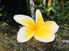 《1日目》｢食べて、spaして、また食べて｣  Bali,Ubud 2018 