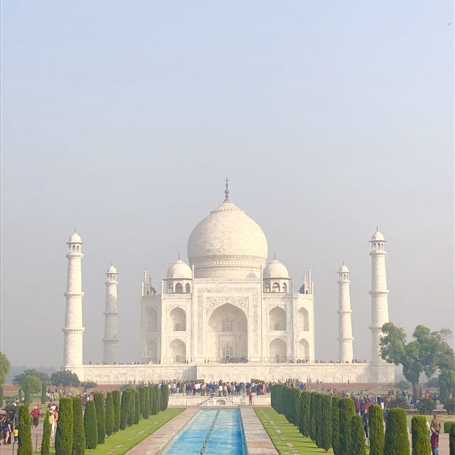 インド旅もこれで最終日です。<br /><br />*ざっくりスケジュール*<br /><br />早朝、日の出ポイントからタージマハル鑑賞<br />↓<br />一旦ホテルに戻り、朝食後チェックアウト<br />↓<br />アグラ市内観光<br />タージマハル<br />アグラ城<br />↓<br />癒着ゴリゴリ大理石店に連れて行かれる<br />↓<br />ランチ<br />↓<br />4時間半かけてデリーまで約200km<br />バスで移動<br />↓<br />最後の癒着ショッピング <br />デリーでの紅茶店<br />↓<br />デリー空港到着<br />ラウンジ満喫(実は満喫しきれてはいない)<br />↓<br />JAL便で帰国<br /><br />6日間とありますが、<br />5日目の夜にデリー出発して<br />6日目の朝に成田に着くので<br />実質この日が最終日です。<br /><br />最終日の旅行記の写真をアップ<br />したら多すぎたので急遽<br />前後半<br />(タージマハルなど日中の観光編と<br />デリー空港のラウンジや帰国機内編)に<br />分けました。<br /><br />