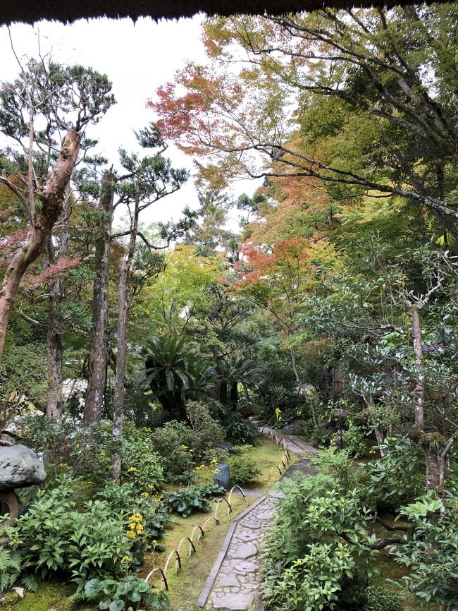 この回では、２日目に大洲市で大洲城を見た後、お城と共通券になっている臥龍山荘を見学とおはなはん通りをぶらぶらした旅行記です。<br /><br />●2018　11月　ふっこう割レンタカー付きフリープラン高知愛媛2泊3日に行ってみた。高知編<br />https://ssl.4travel.jp/tcs/t/editalbum/edit/11421981/<br />●森林浴をしながら動物が観られる！高知県立のいち動物公園<br />https://ssl.4travel.jp/tcs/t/editalbum/edit/11421545/<br />●2018、11月ふっこう割レンタカー付きフリープラン高知愛媛二泊三日の旅、お城に行ってみました編 高知城 宇和島城 大洲城 松山城<br />https://ssl.4travel.jp/tcs/t/editalbum/edit/11428097/<br />●2018 11月 ふっこう割レンタカー付きフリープラン高知愛媛二泊三日の旅 松山市内散策すると猫に会いました編 <br />https://ssl.4travel.jp/tcs/t/editalbum/edit/11430432/