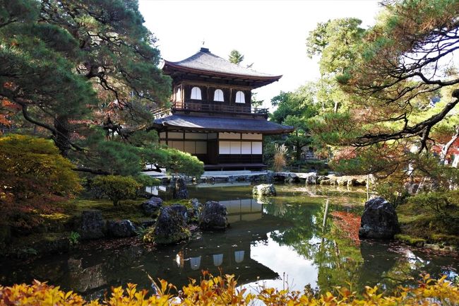 京都紅葉巡り2018 再訪 東山 祇園 北白川 京都 の旅行記 ブログ By 皐月さん フォートラベル