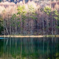 2018年12月 週末温泉旅 in 蓼科 ～ 御射鹿池、「たてしな藍」、尖石縄文考古館