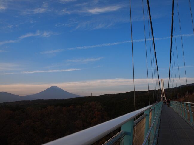 秋からチャンスを狙い続け、とうとう師走に入った最初の週末、富士山を目指して弾丸ドライブツアーを敢行しました。<br />はてさて念願の富士山に会うことはできたのでしょうか？<br />